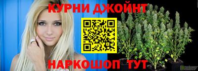 стаф Кинель
