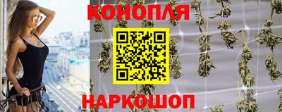 стаф Кинель