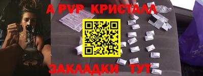 стаф Кинель