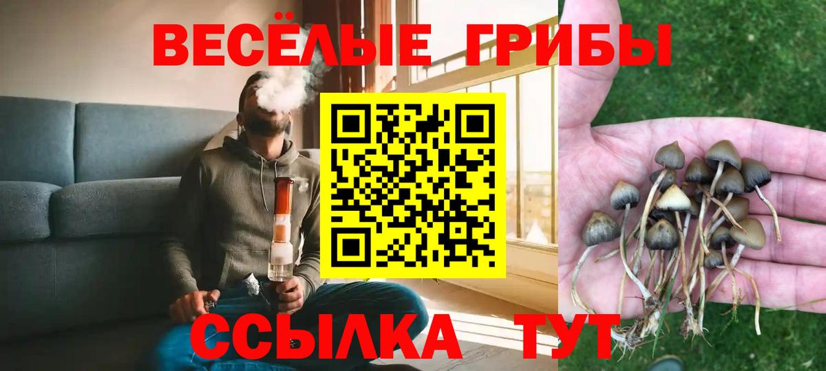 Галлюциногенные грибы мицелий  продажа наркотиков  Череповец  Вход с VPN  Псилоцибиновые грибы Psilocybine cubensis 